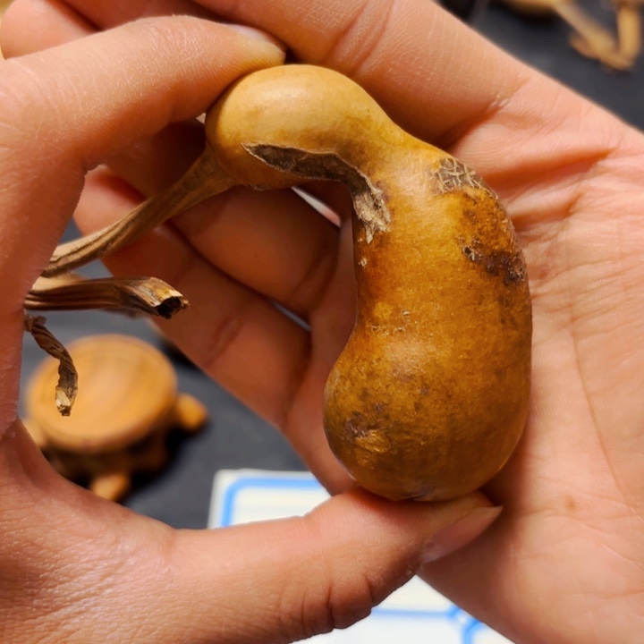 布*哥88888888888888888