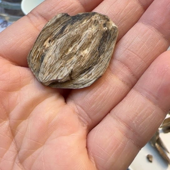 沉香摆件冰****孩海南虎斑棋1.49克