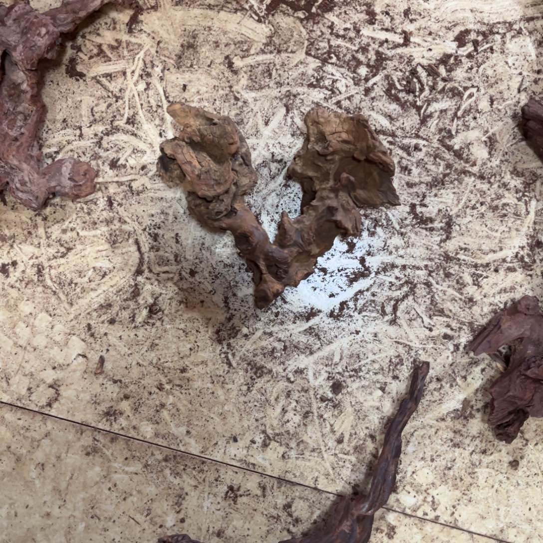 黄花梨/降香黄檀随**缘