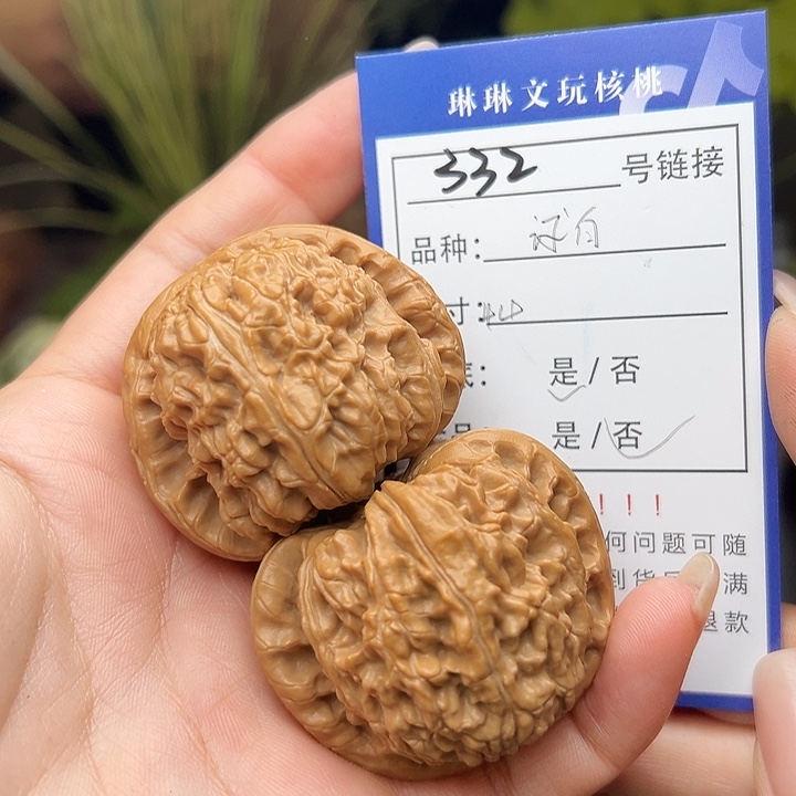 文玩核桃吊坠核桃树332