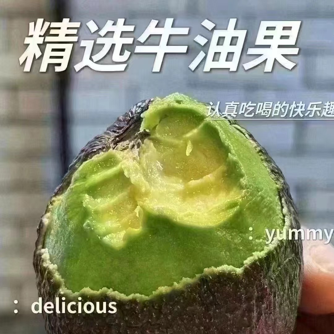 【进口墨西哥牛油果8粒和16粒】吃出三文鱼的味道顺丰同城送货上门新鲜牛油果墨西哥合众国