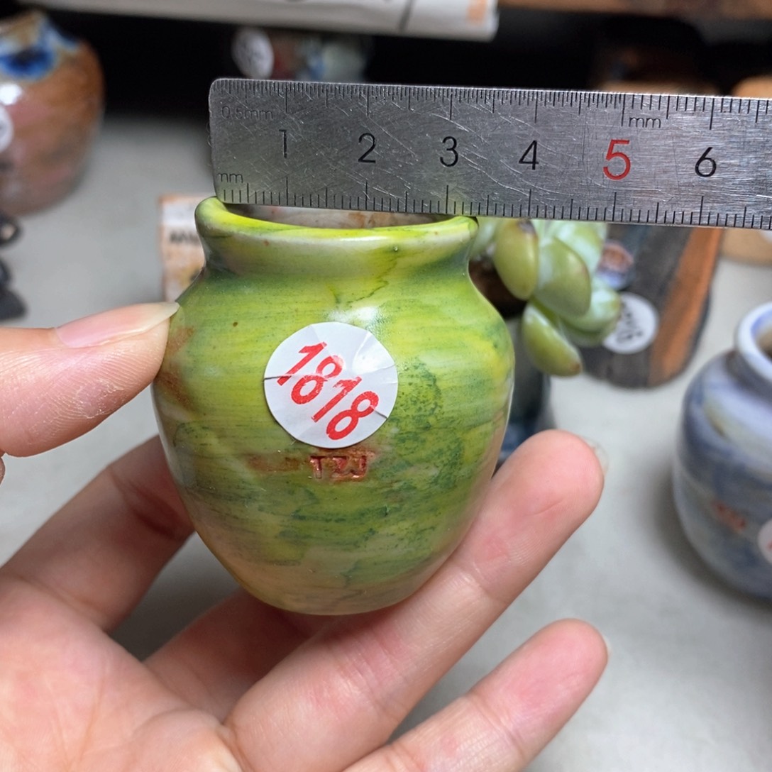 拍5送一个小礼物