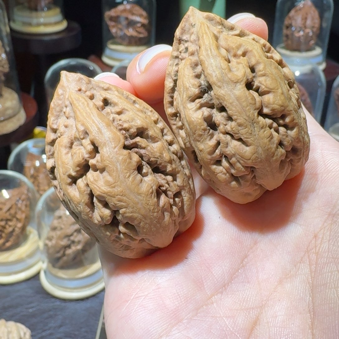 把件文玩核桃粗筋龙王