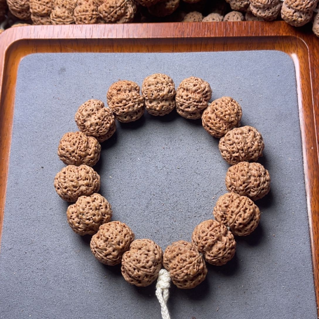 菩提籽类9号金刚菩提梁梅花双龙22