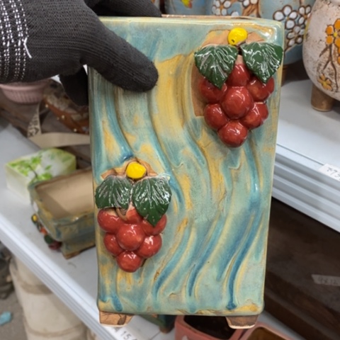 【闪购商品】红陶1