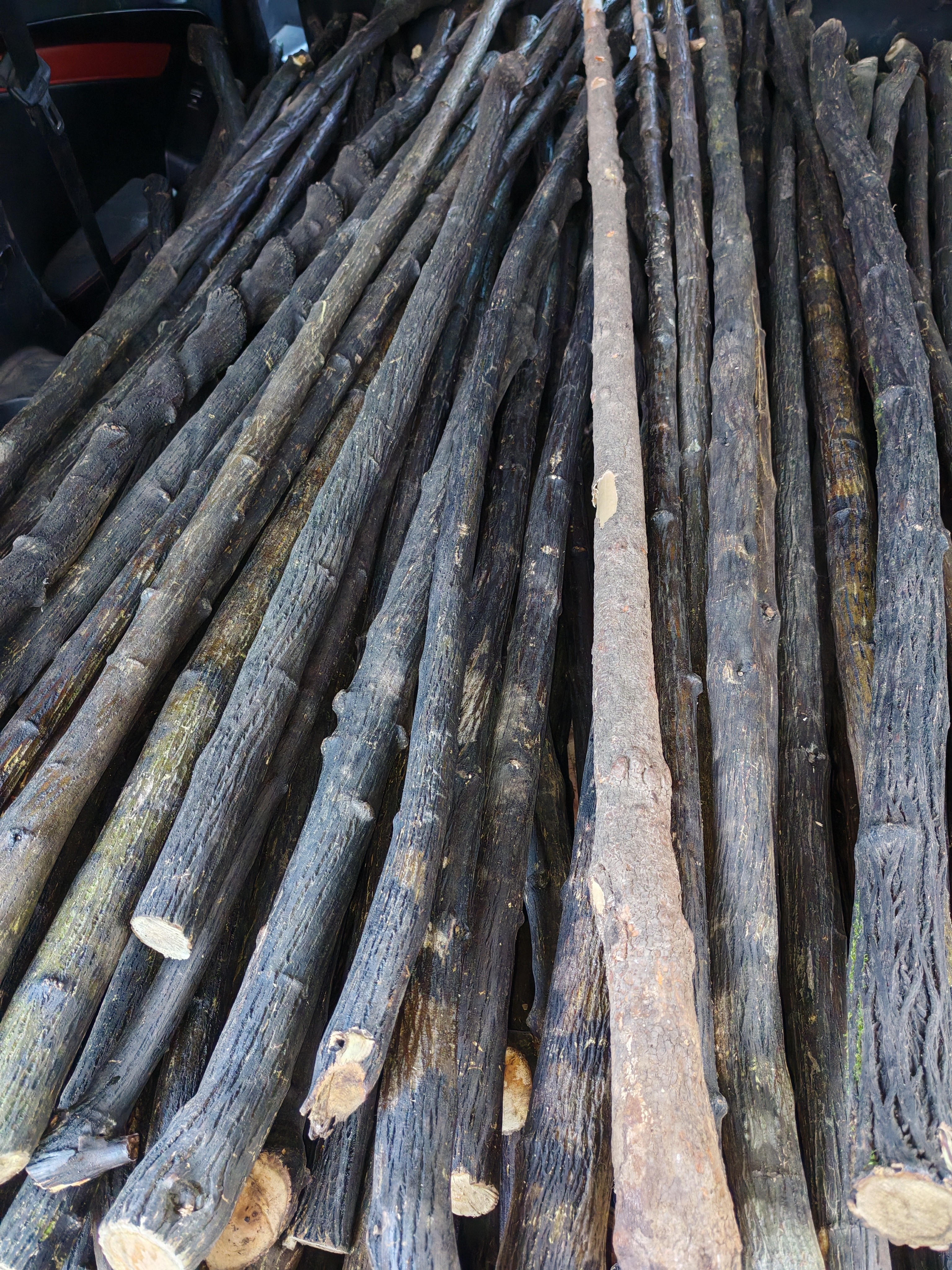 各种毛料鞭杆武术棍图片仅供参考（一物一拍）（没有运费险）