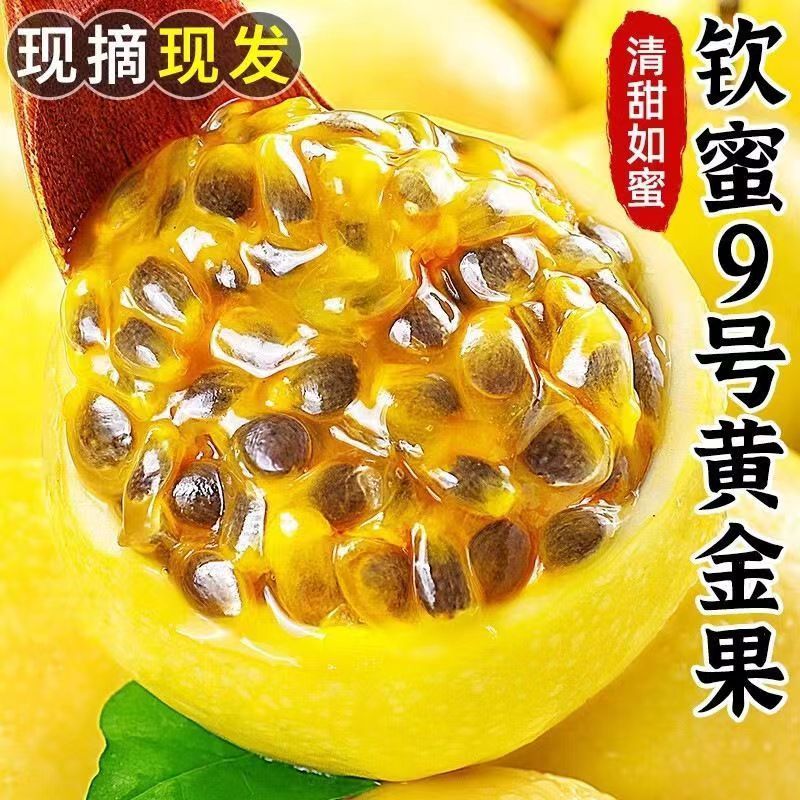顺丰包邮钦蜜9号黄金百香果孕妇水果新鲜广西香甜多汁整箱甜薄皮