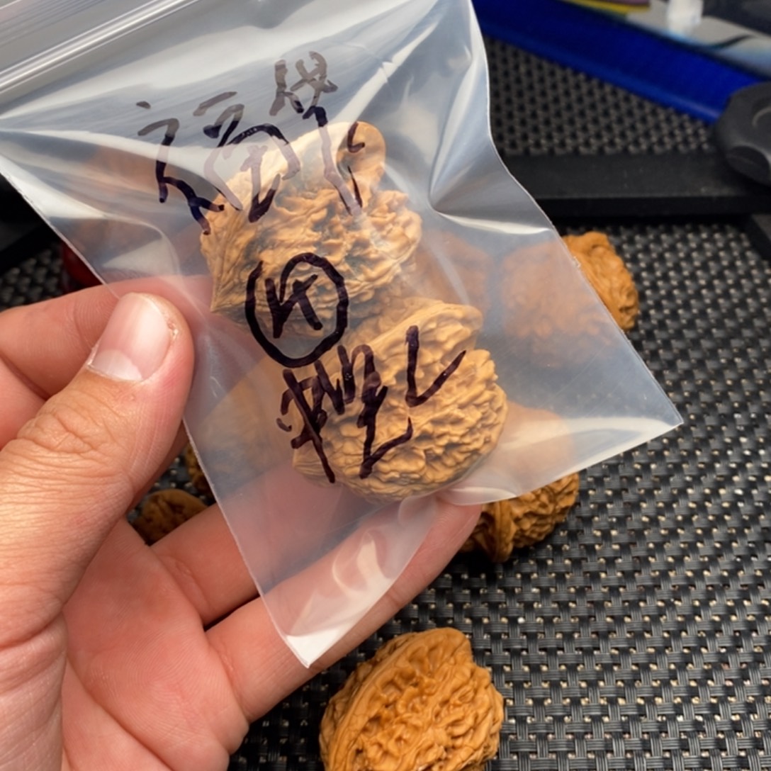 追***风哈哈哈哈哈哈哈哈姐