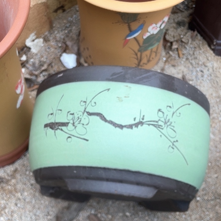 紫砂苹果绿大花盆佳品