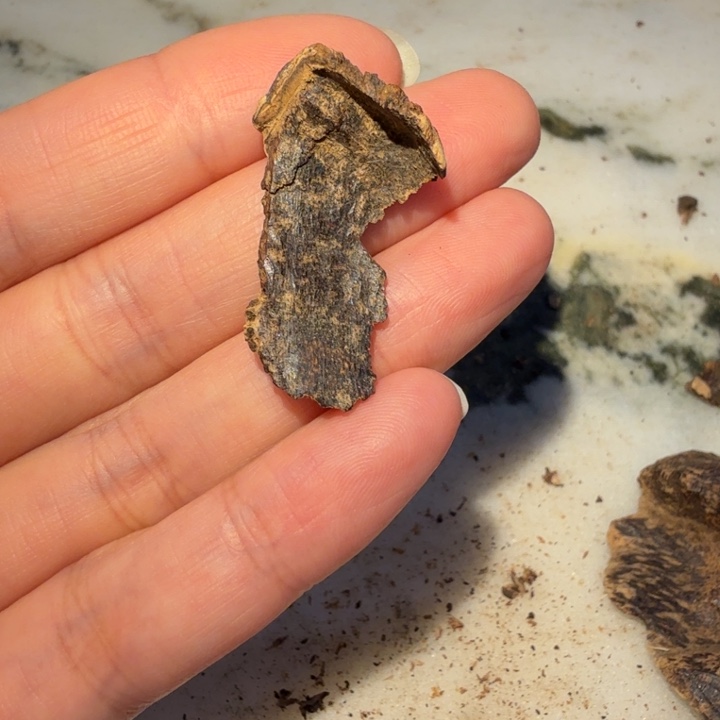 果***蟹沉香吊坠八十年代海南糖结包壳小料0.82克