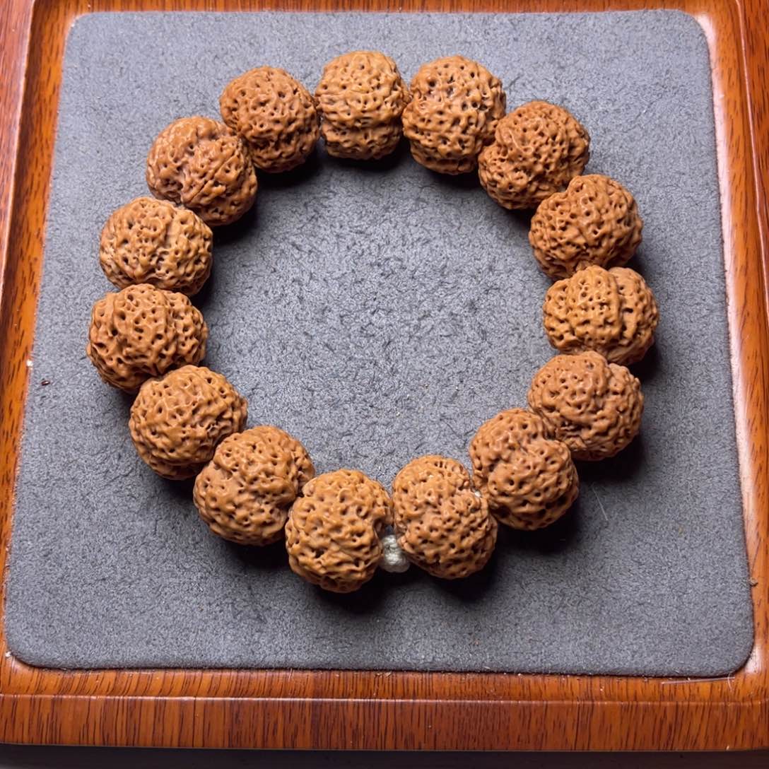 鱼***鱼菩提9号金刚菩提五星蜂王25