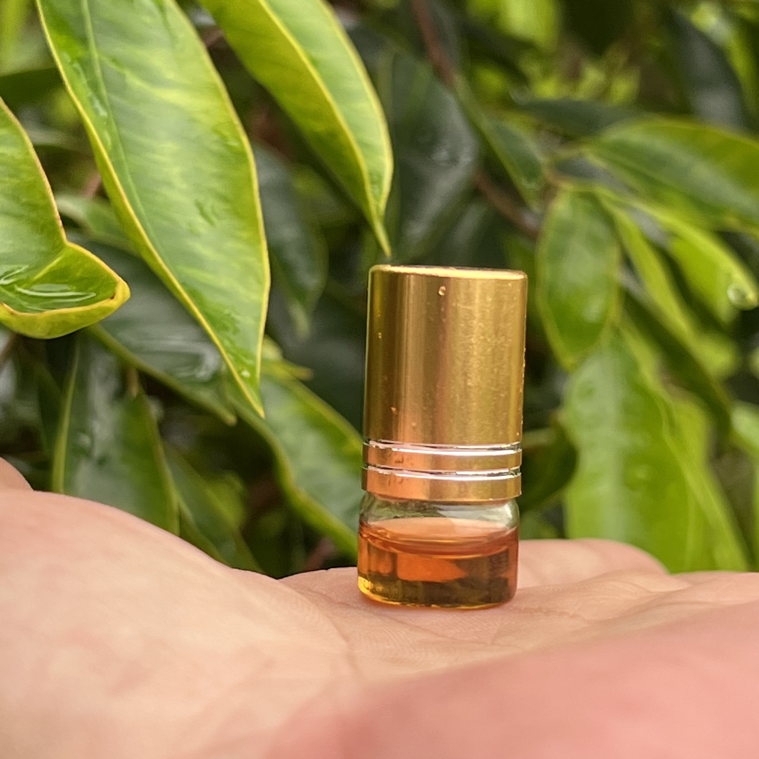 纯天然奇楠沉香香熏无添加安神按摩品香持久香熏精油