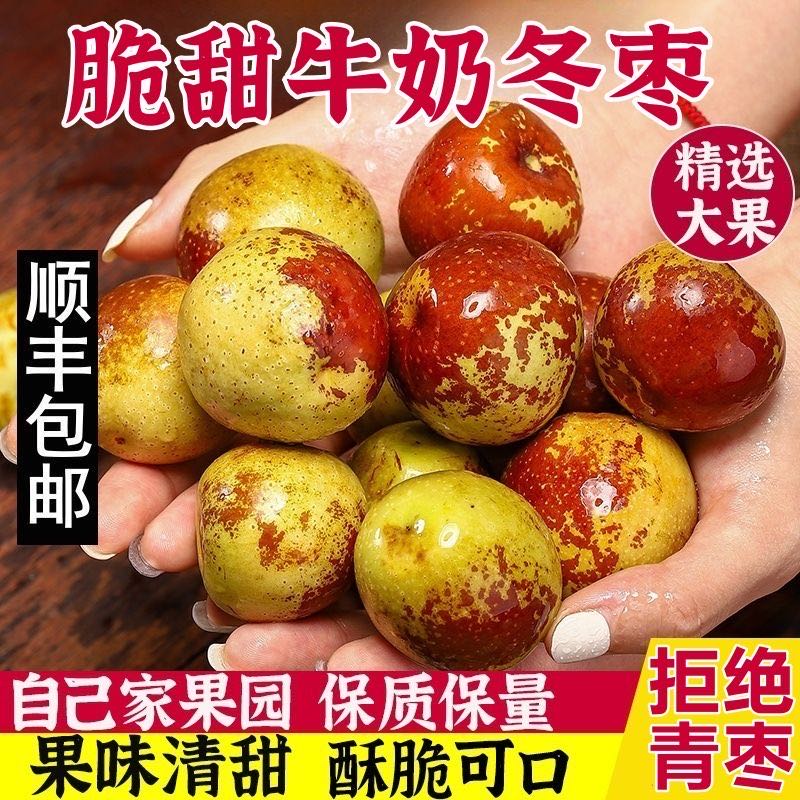 新疆牛奶冬枣当季采摘口感脆甜大果