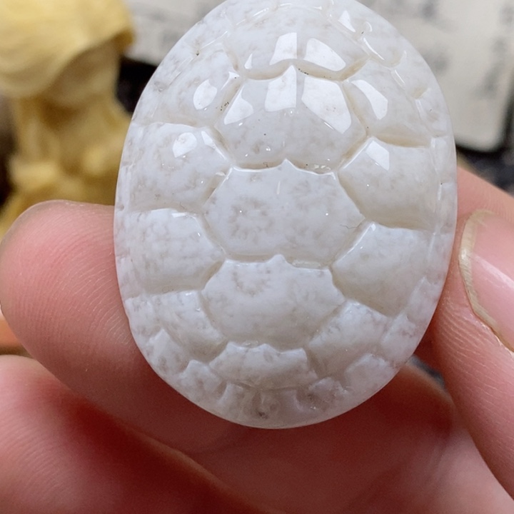 颈饰未镶嵌硅化珊瑚（珊瑚玉）