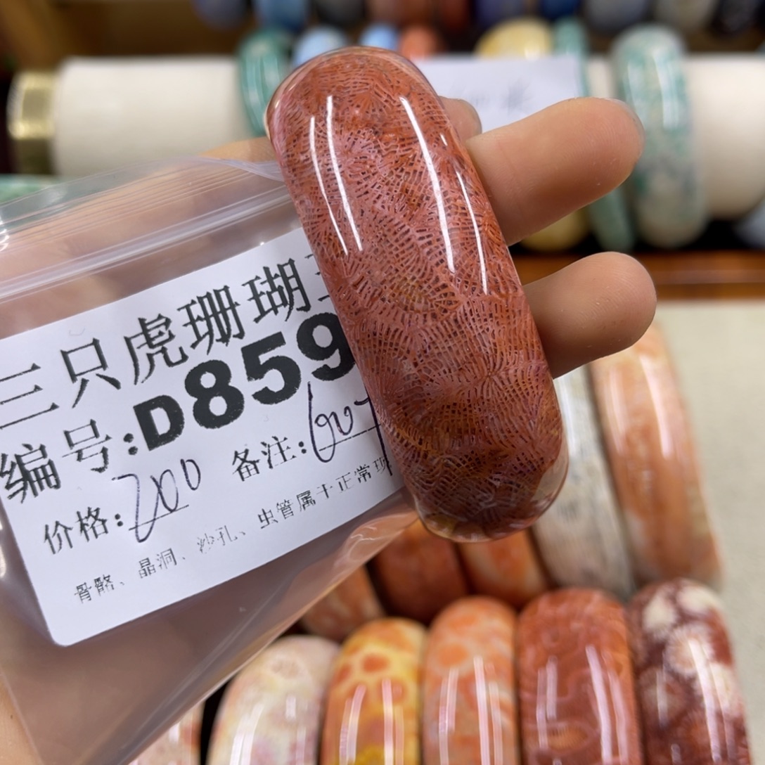 飞***2硅化珊瑚（珊瑚玉）未镶嵌h