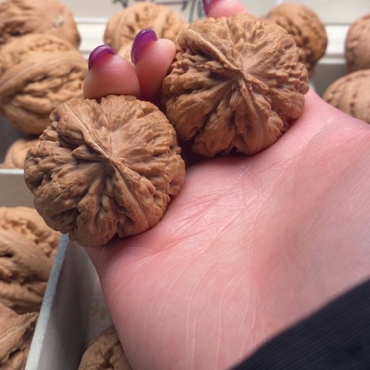 吊坠文玩核桃霸王龙