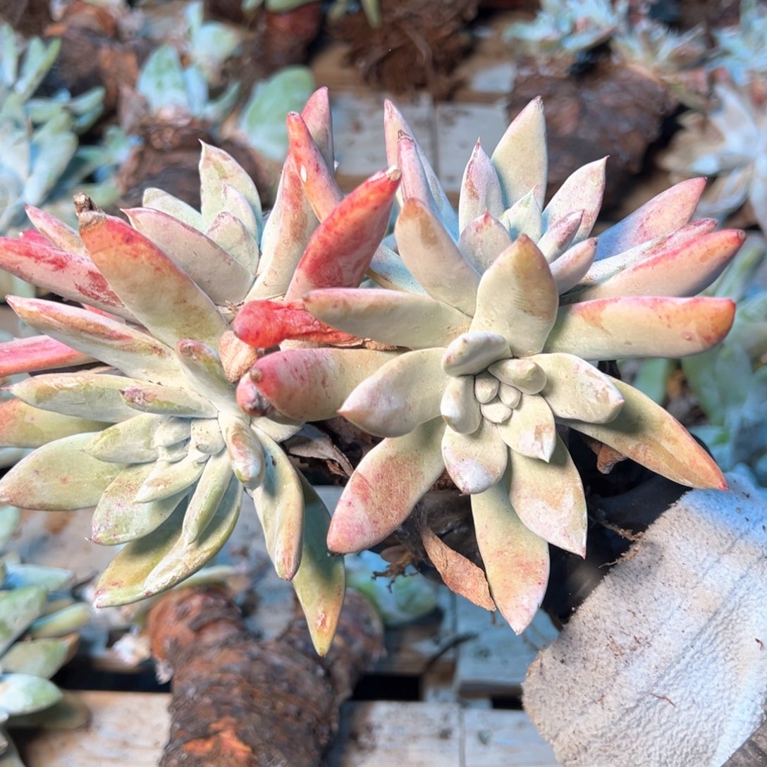 7885哈哈哈哈哈哈哈哈