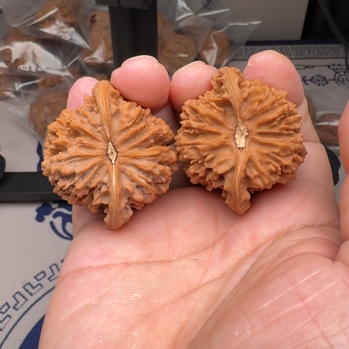 把件桃核山地满天星45尺12