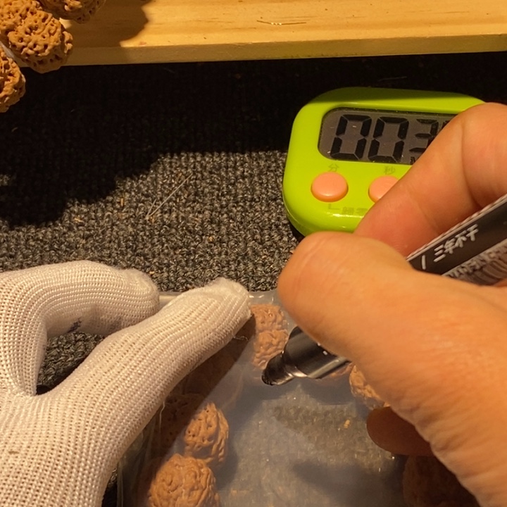 面***脚吊坠金刚菩提您是个有智慧之人才嘛