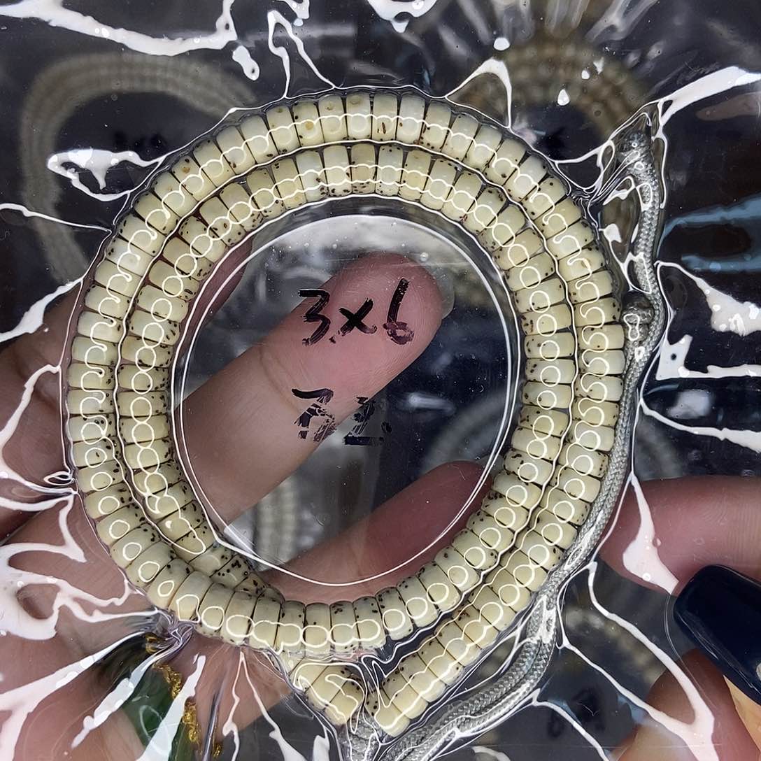 星月菩提手串星月