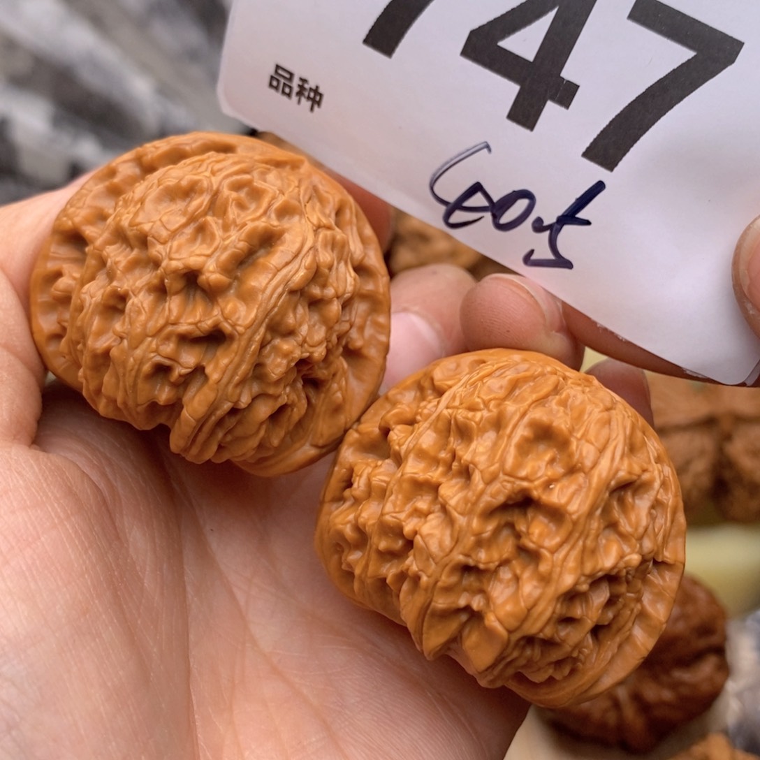 文玩核桃吊坠747号40.5白