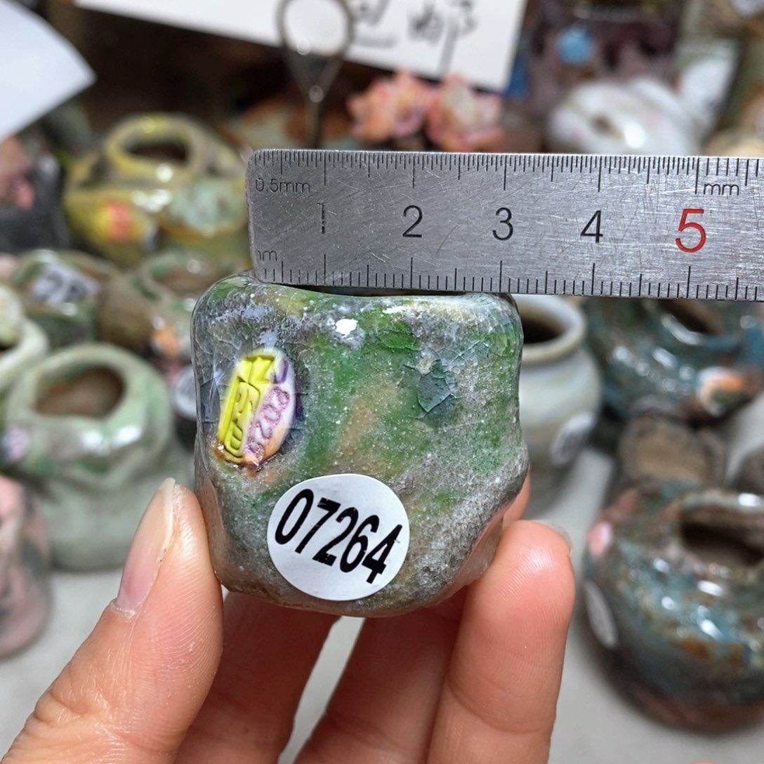 花盆拍3送一个小礼物