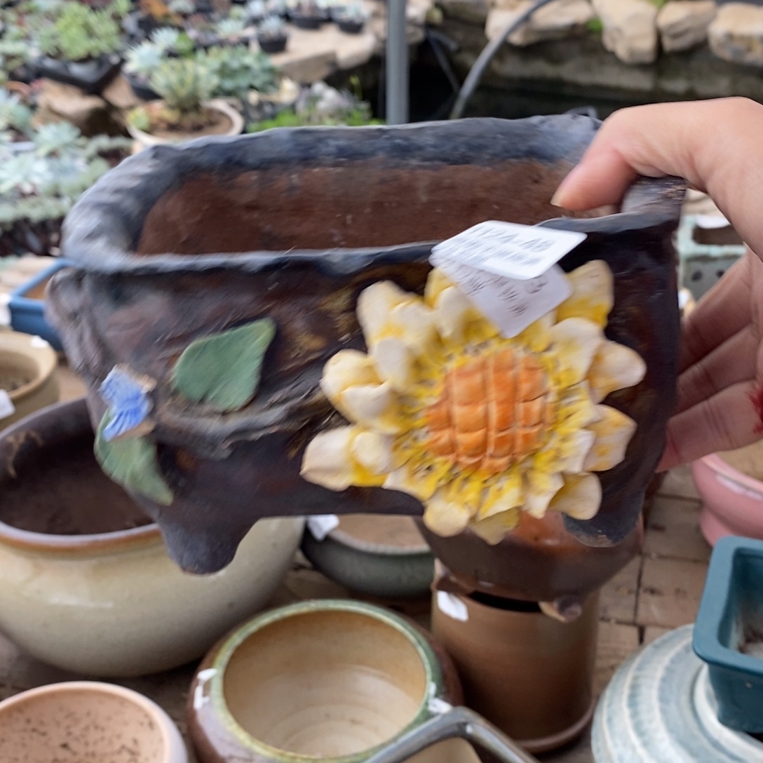 48号多肉盆口径14瑕疵