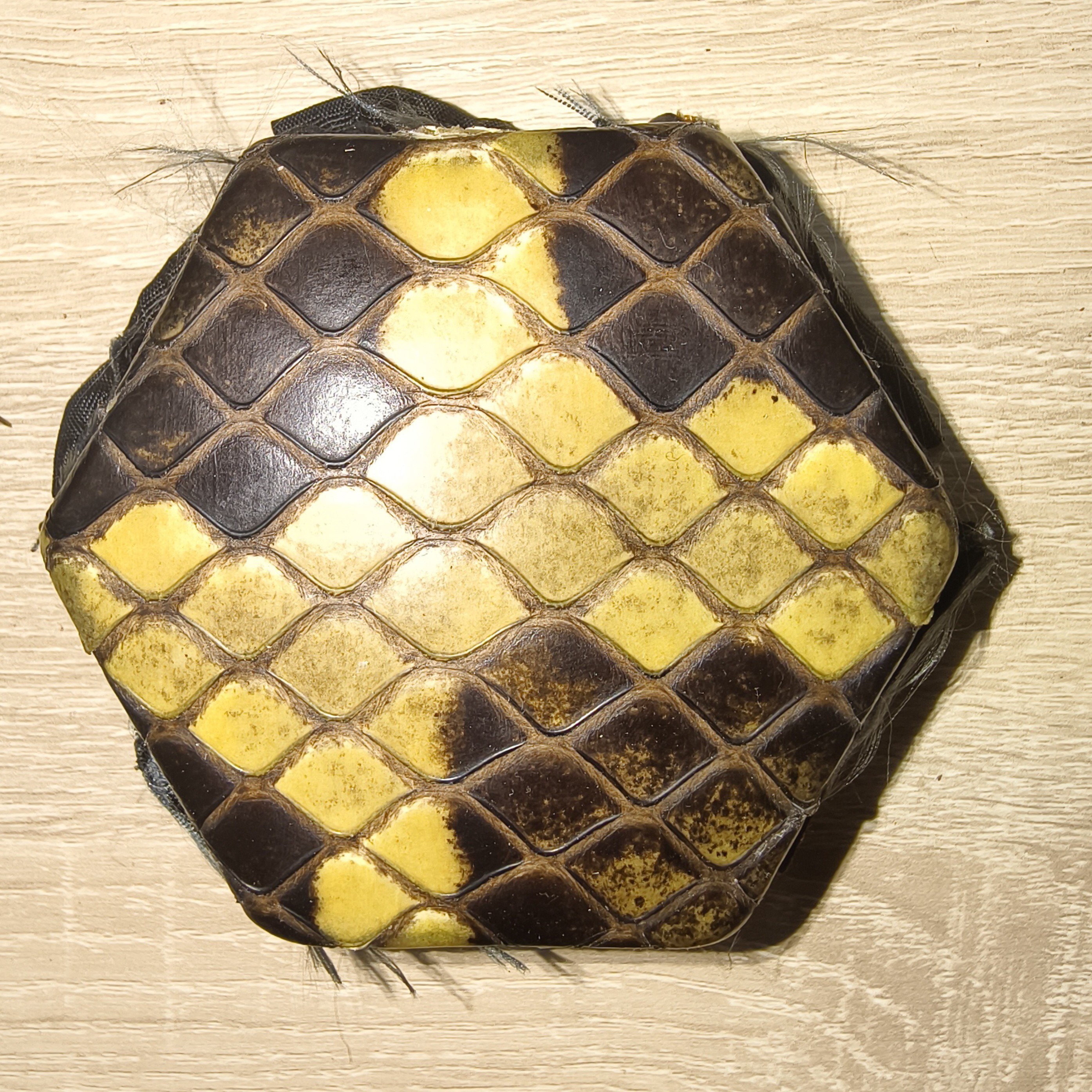 二胡琴皮手工蒙皮选皮选花已套好