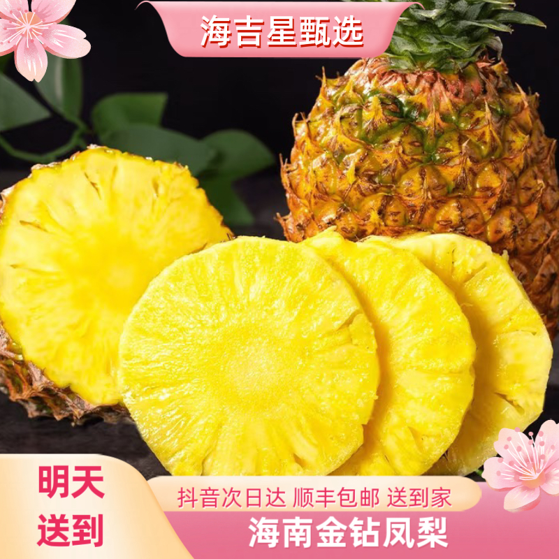 【夏日甜蜜】海南金钻凤梨2-3斤菠萝同城送新鲜
