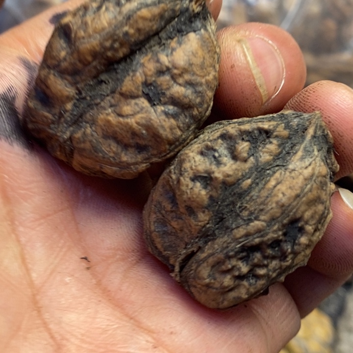 吊坠文玩核桃东北特产133