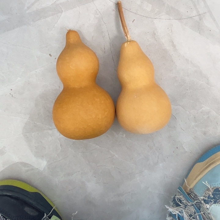 白皮葫芦2个响籽厚皮