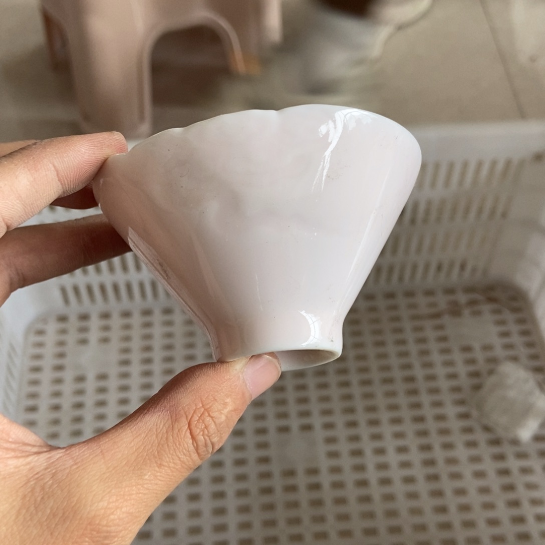 杯直播链接直播链接
