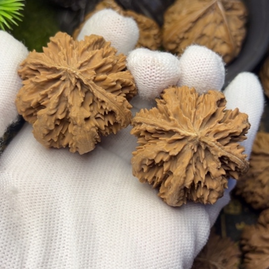 〈***〉文玩核桃把件秦岭核桃6