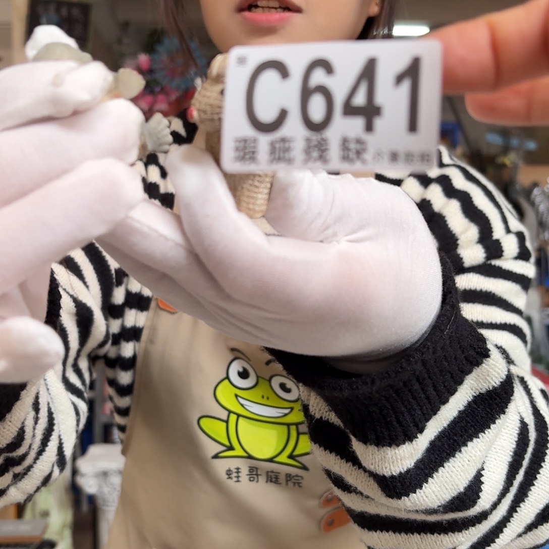 核桃木/黑胡桃（胡桃木）