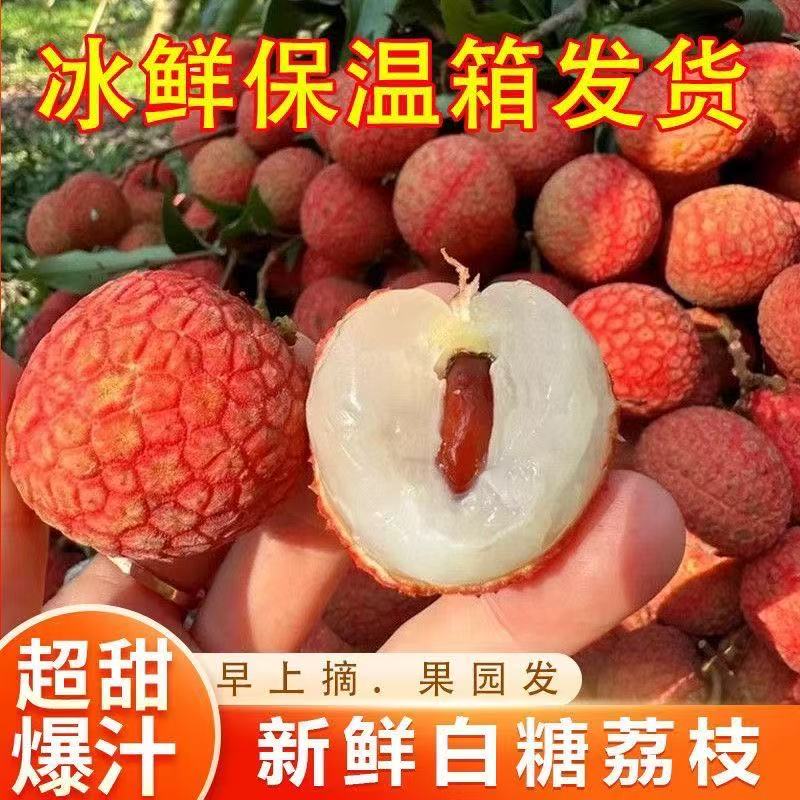 【白糖罂】新鲜荔枝荔枝现摘现发鲜荔枝当季大水果【净重4.5