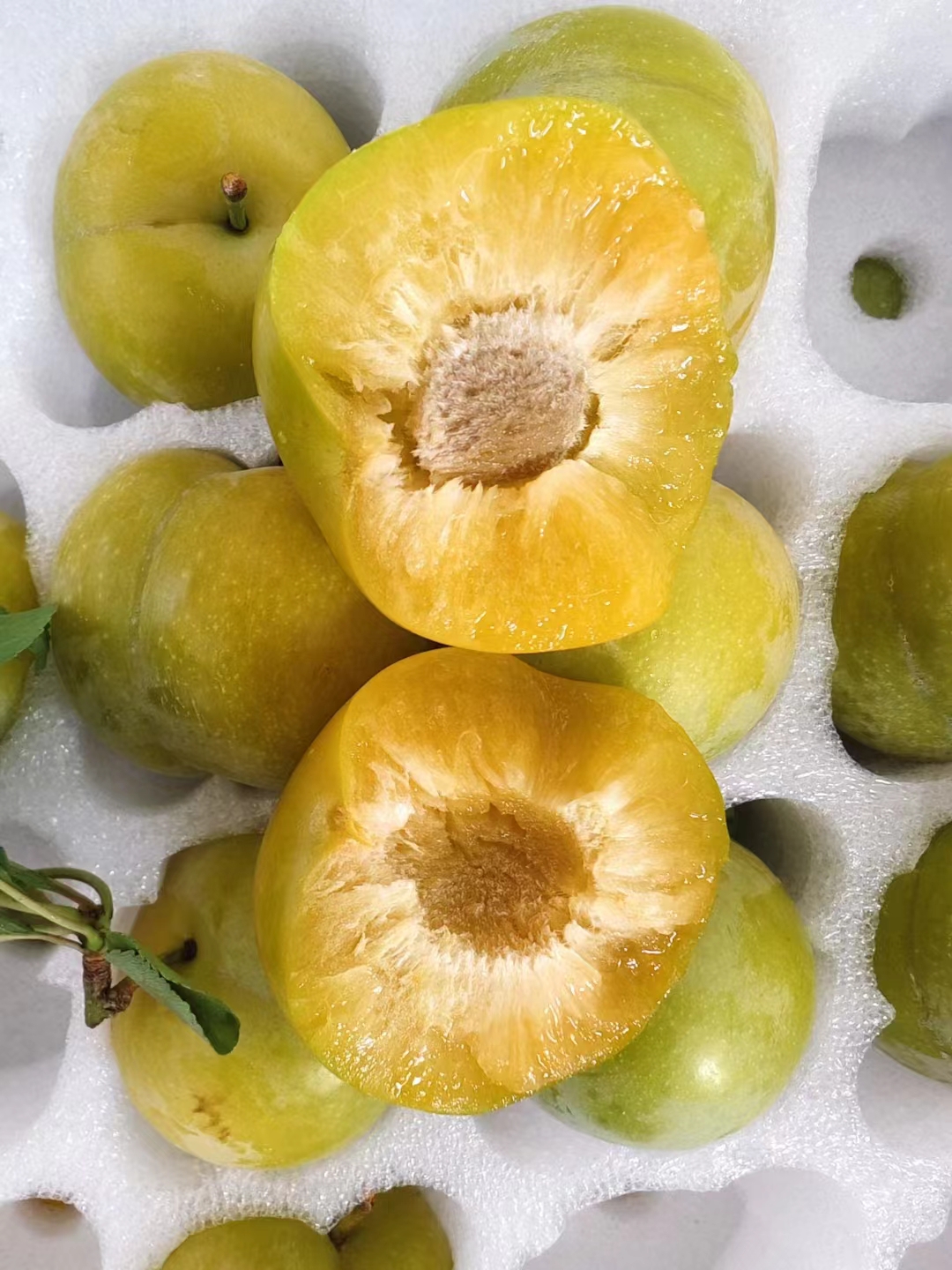 贵州正宗六马蜂糖李【顺丰空运包邮】新鲜采摘新鲜发货