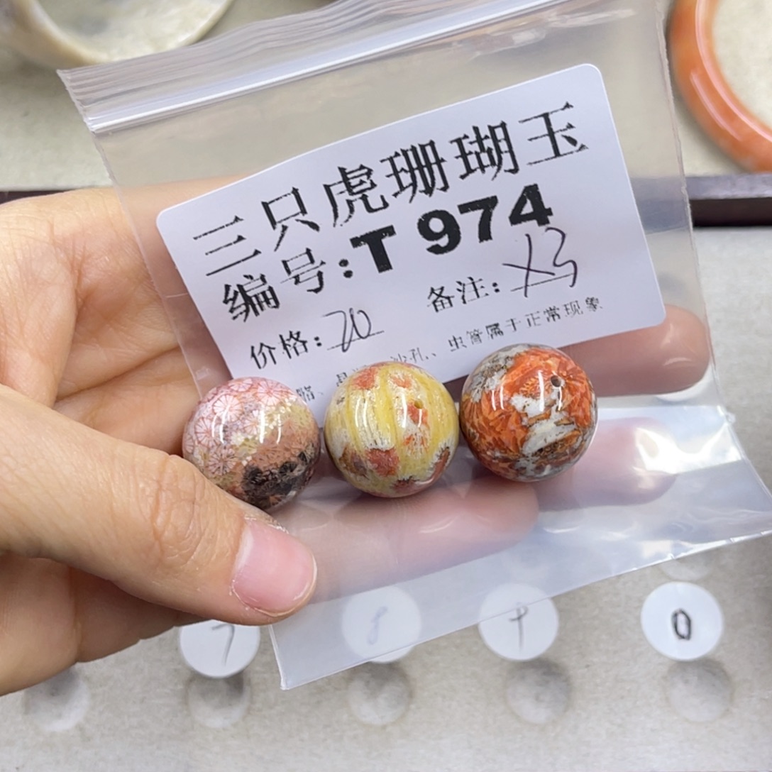 x***y硅化珊瑚（珊瑚玉）未镶嵌h