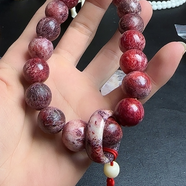 养殖骨制品微瑕介意勿拍一个