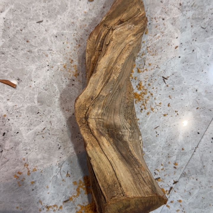 育***记柏木崖柏啊啊啊啊啊啊啊