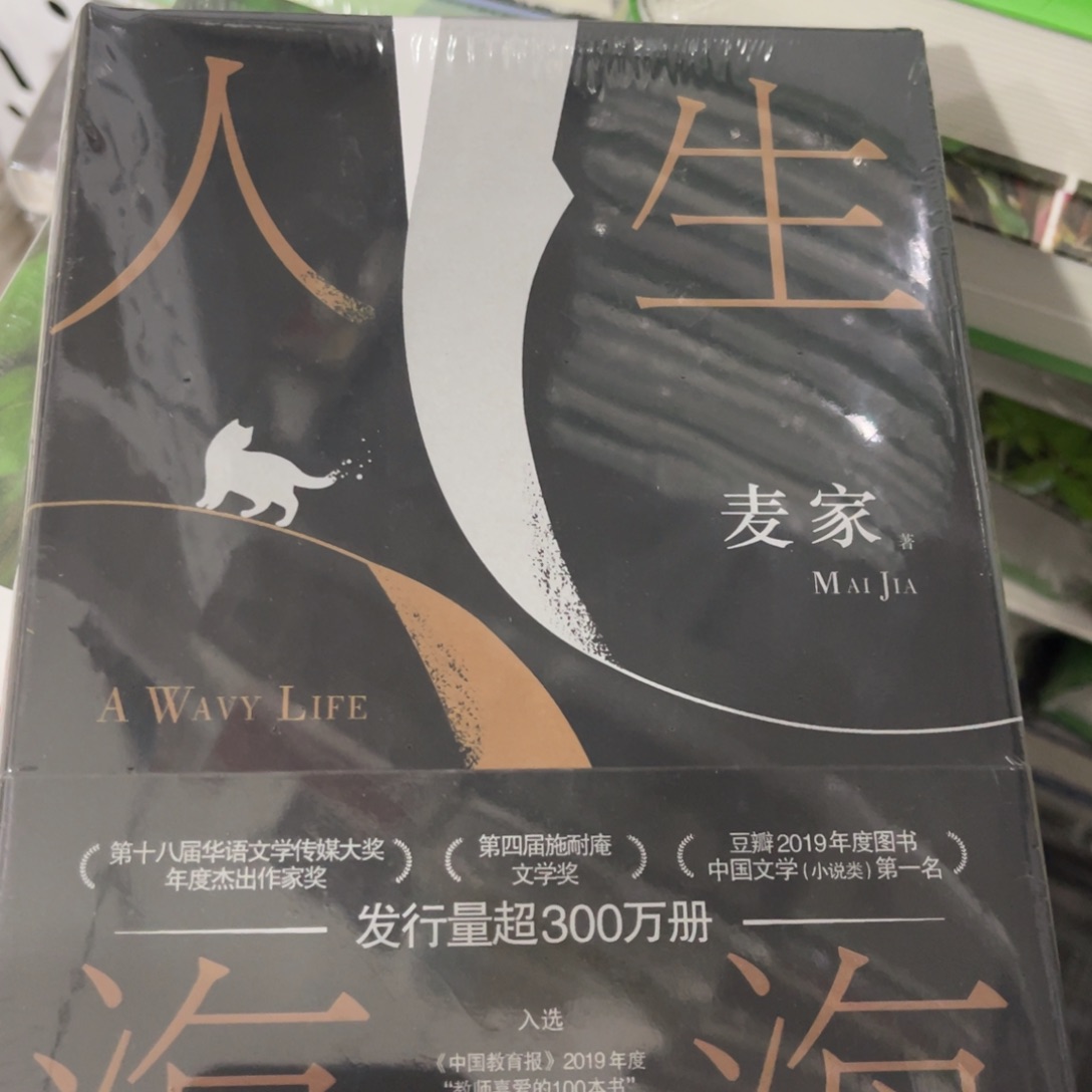 人生海海精装一个