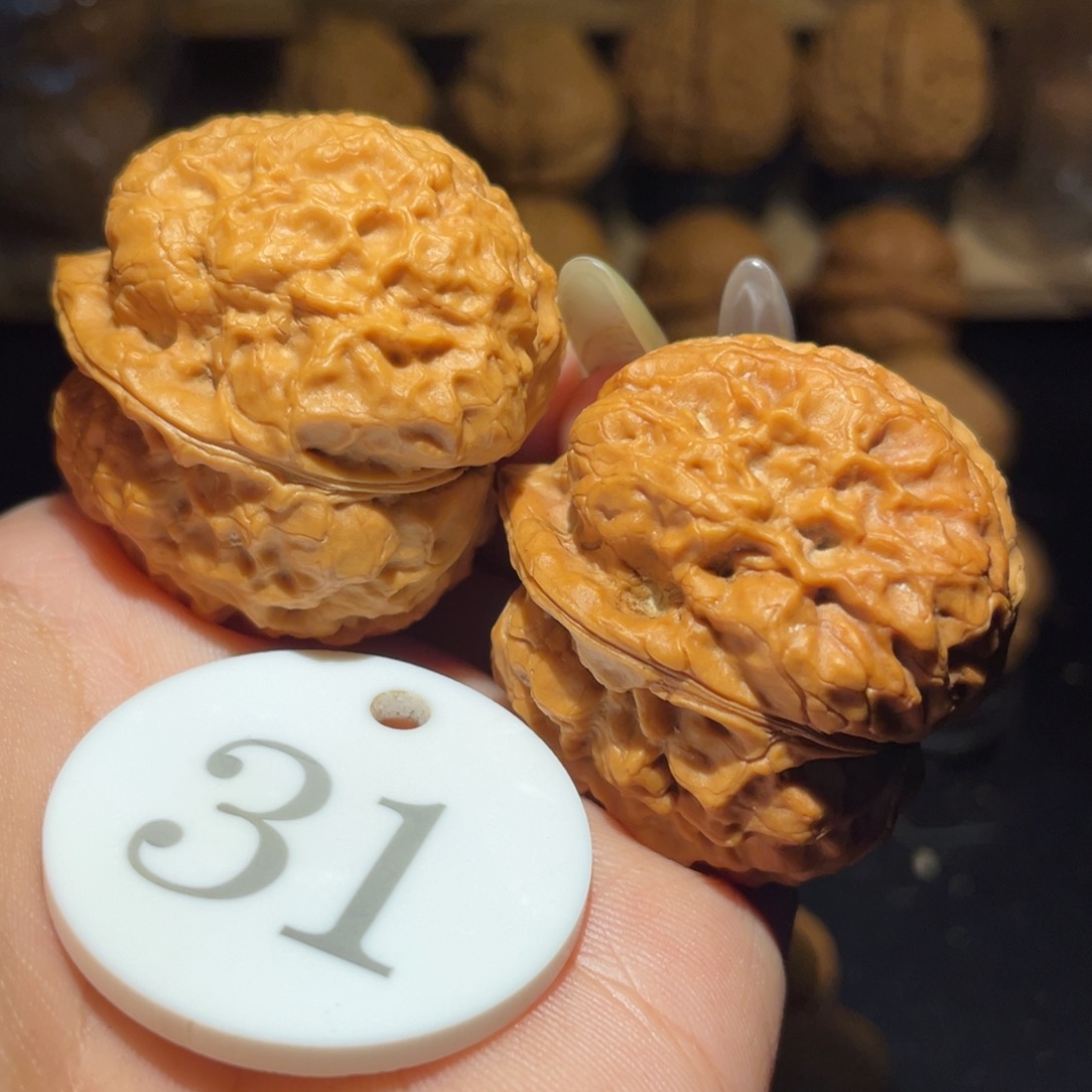 烈焰铠甲40尺寸核桃。 