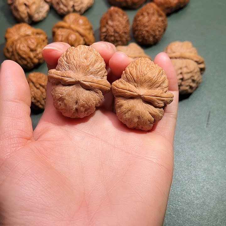 核桃涞水山地果元宝全品40尺