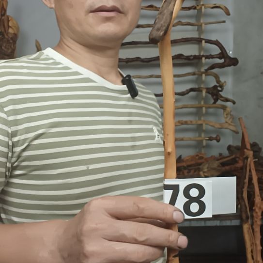 胖***酒香榧木高山 檬子木文玩料