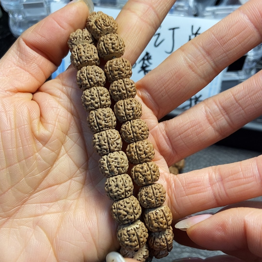 菩提籽类跳跳龙12