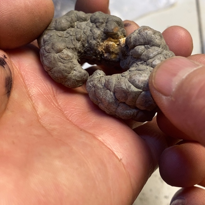 吊坠文玩核桃东北特产119