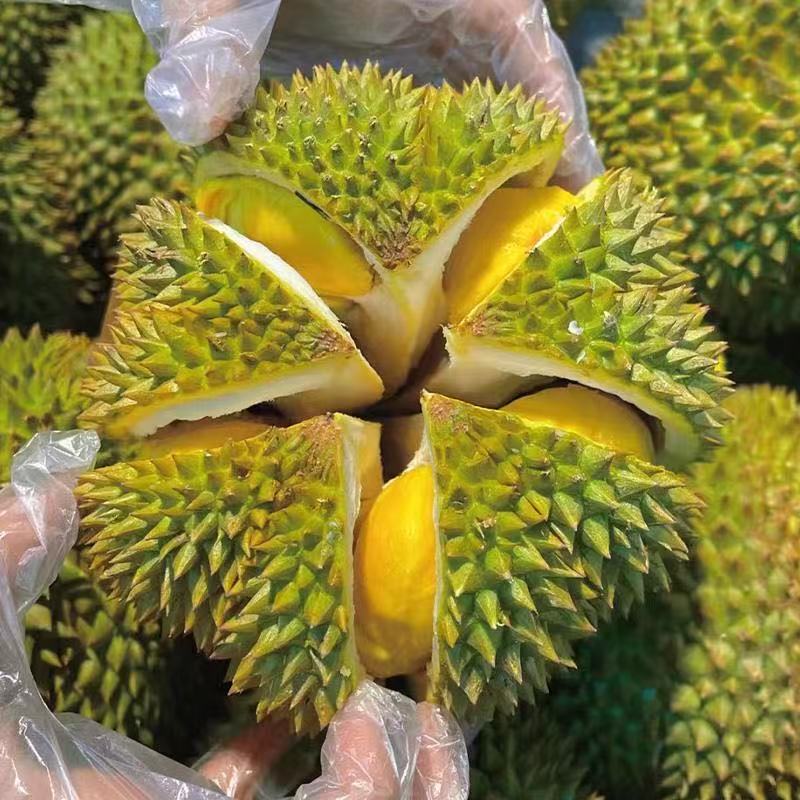 一果一拍 泰国树熟金枕榴莲（干包黄肉 香 糯 甜）新鲜榴莲核小500克金枕泰国东部