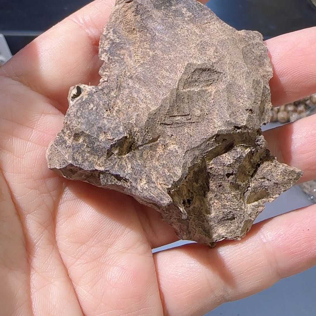 沉香沉香碎屑海南尖峰岭5.82克