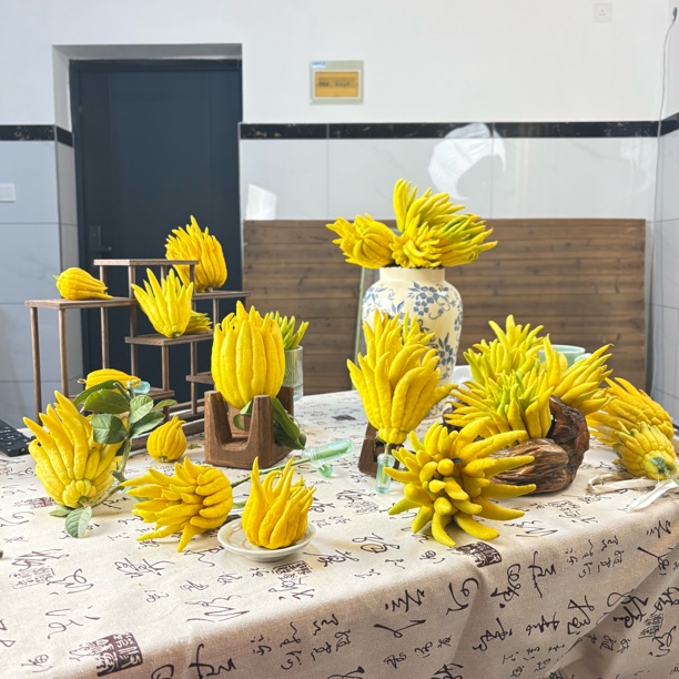 佛手柑不挑果形残次果（只包烂果）一斤