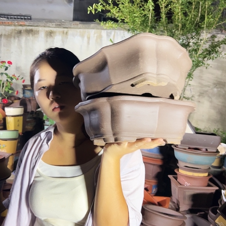 29+29莲花花盆花盆花盆花盆