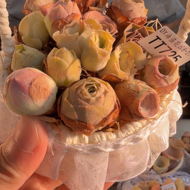 TT725 蕾丝花篮玫瑰组合